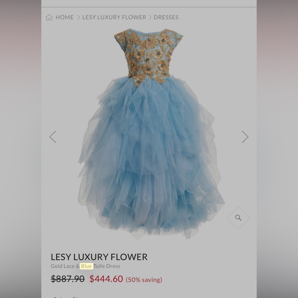 Gorgeous LESY Girls Dress size 10 NEW tags